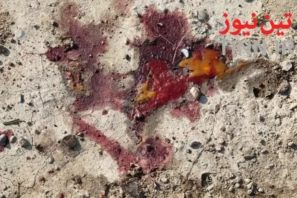 سقوط هواپیمای اوکراینی حوالی فرودگاه امام خمینی(ره) - 2