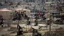 قیمت نفت تثبیت شد