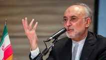 فعالیت رآکتور آب سنگین اراک ادامه مییابد