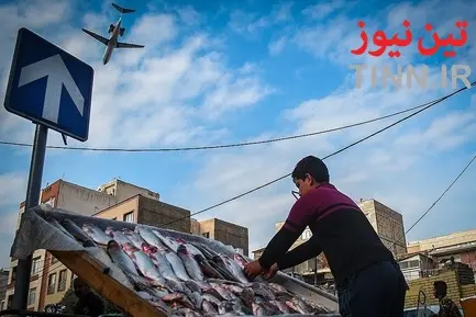 روز جهانی« هواپیمایی »
