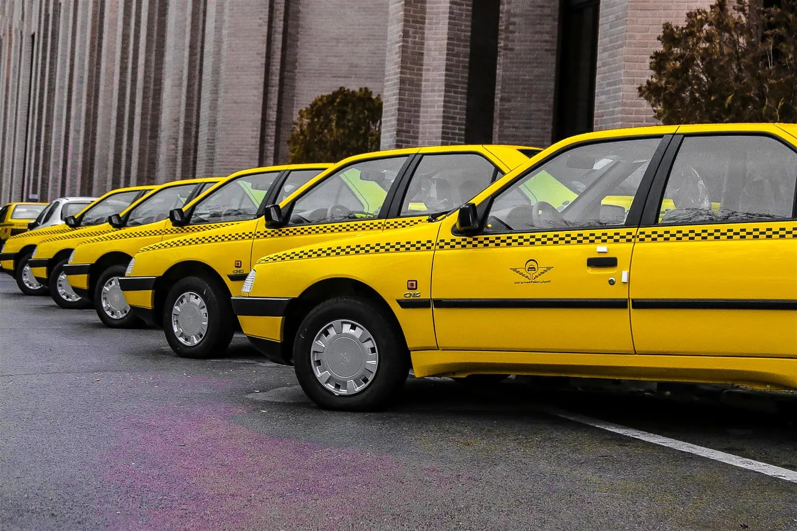 تحویل تاکسی های جدید در پایتخت آغاز شد