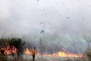 آتش‌ سوزی جزئی در منطقه دوم دریایی سپاه