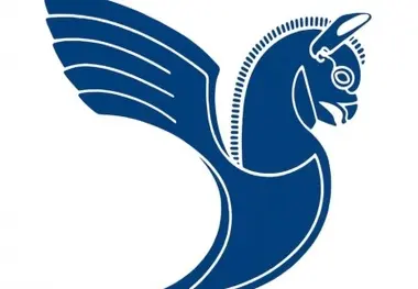 ارایه کدملی در زمان رزرو یاخرید بلیت پروازهای داخلی
