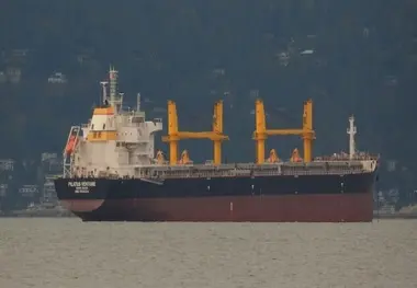 Grounded ship causes delays in Argentina’s Parana river
