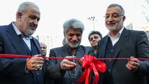 گزارش تصویری| رونمایی از تاکسی های برقی