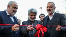 گزارش تصویری| رونمایی از تاکسی های برقی