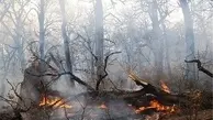 پتانسیل بالای آتش‌سوزی در جنگل‌های کشور/ تعیین نقاط بحرانی وقوع آتش