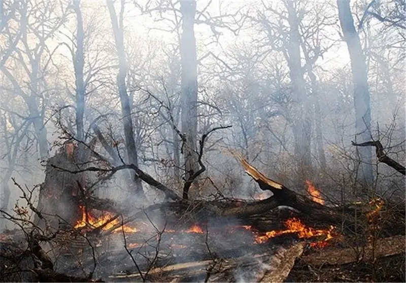 پتانسیل بالای آتش‌سوزی در جنگل‌های کشور/ تعیین نقاط بحرانی وقوع آتش