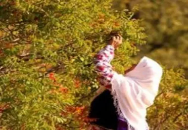 ثبت 4 اثر میراث فرهنگی قزوین در فهرست آثار ملی