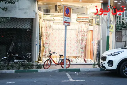 بیدود