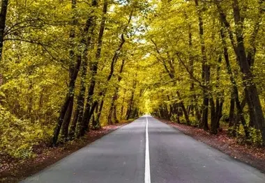 ۹۱ کیلومتر ساخت و روکش آسفالت در راه های فرعی و روستایی مازندران 