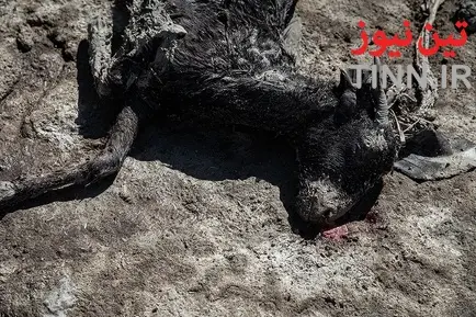 خسارت سیل در روستاهای« زرآباد سیستان و بلوچستان»