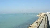 بهره‎برداری از چهار بندر صیادی در سال جاری
