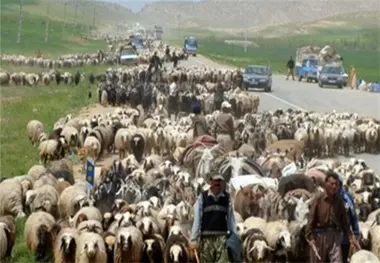آغاز عملیات ایمن سازی جاده های عبور عشایر 