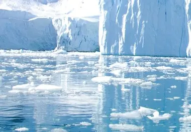 Plastic pollution in Antarctic is worse than expected