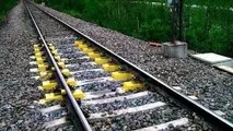 Train services unaffected as seven-month vegetation clearance project begins on Borders Railway