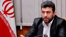 رد ادعای ورود 50 فروند هواپیما تا پایان سال