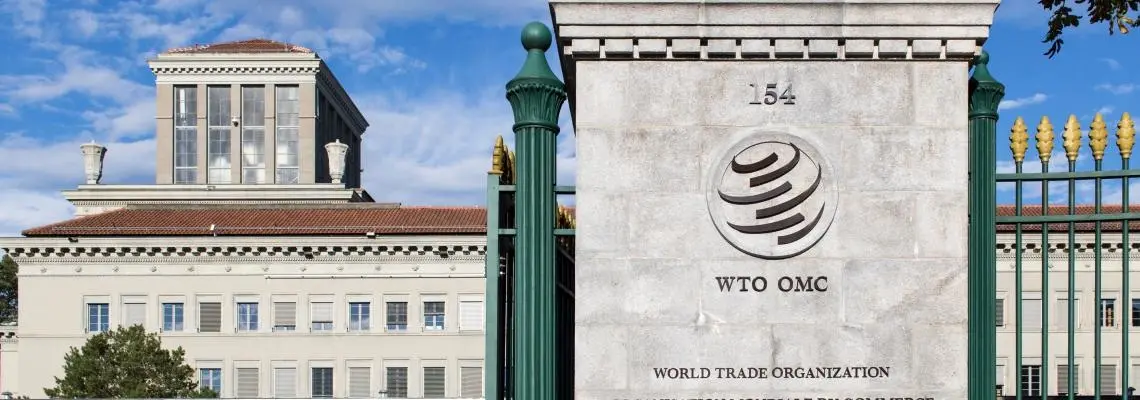 IRU offers solutions to trade community at WTO Public Forum