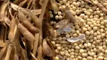 US exports to China reduced by 96%