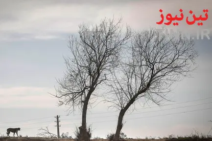 حاشینه‌نشینان جنوب تهران