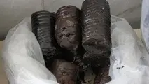 کشف بیش از ۱۲ کیلوگرم تریاک در فرودگاه‌های کشور 