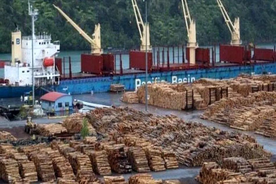 Maritime NZ inspects stevedore operations for health and safety