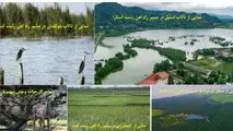 سرمایه گذار ایرانی یا خارجی در پروژه راه آهن رشت آستارا وجود ندارد/ نفت و گاز مازاد برای کلنگ زنی موجود نیست