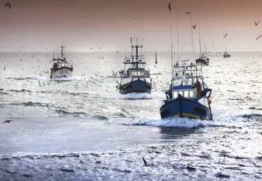 EU proposes measure to protect deep-sea species in North-East Atlantic