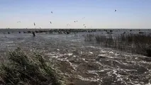  پیشروی آب هورالعظیم گمرک چذابه را تعطیل کرد 