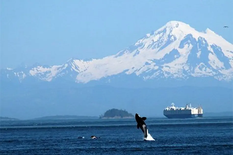 Vancouver port urges operators to slow down in Haro Strait