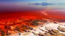 نوسترا داموس پارس و پیش‌بینی هواشدن شهردار 
