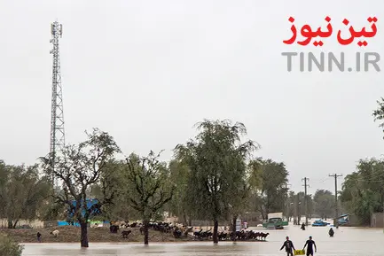 سیل در جاسک
