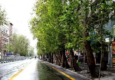 خیابان ولیعصر ثبت جهانی می شود
