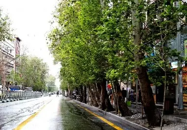 خیابان ولیعصر ثبت جهانی می شود
