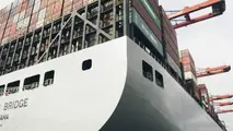 ONE Ship Loses Containers on Its Way to Wilmington