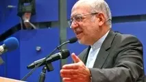 نعمت زاده: صنعت گاز در کشور بومی شده است