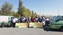 ون 12 نفره نو ارزان قیمت قانونا باید به چه کسانی تعلق بگیرد؟
