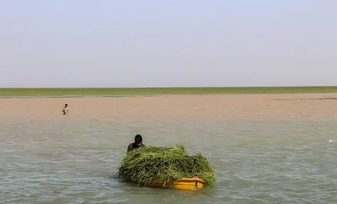 دریاچه هامون 