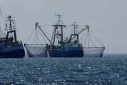 Six Illegal Foreign Fishers in Australian Waters Plead Guilty