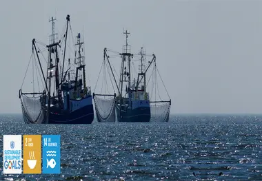 IMO promotes fishing vessel safety agreement to save lives 