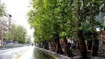 تصویب طرح ساماندهی خیابان ولیعصر