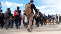 برگزاری جلسه مشترک ستادهای مرکزی اربعین ایران و عراق