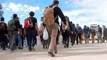 برگزاری جلسه مشترک ستادهای مرکزی اربعین ایران و عراق