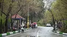 درهای بوستان‌های جنگلی فعلا باز است