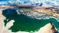 آبزیان خلیج فارس در خطر انقراض قراردارند