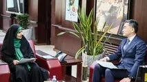 تاکید بر توسعه همکاری های زیرساختی و فناوری در دیدار وزیر راه و شهرسازی ایران با سفیر ژاپن 