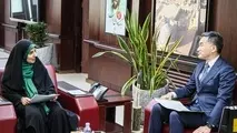 تاکید بر توسعه همکاری های زیرساختی و فناوری در دیدار وزیر راه و شهرسازی ایران با سفیر ژاپن 