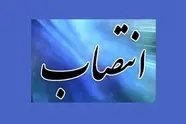  مدیر نظارت بر ایمنی و تجهیزات سازمان راهداری منصوب شد