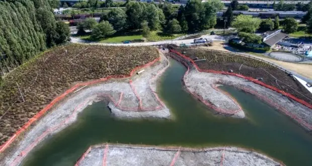 Vancouver completes restoration project in New Brighton shoreline