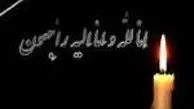 پیکر پاک شهید غواص غلامرضا اسدی چهارشنبه تشییع می شود